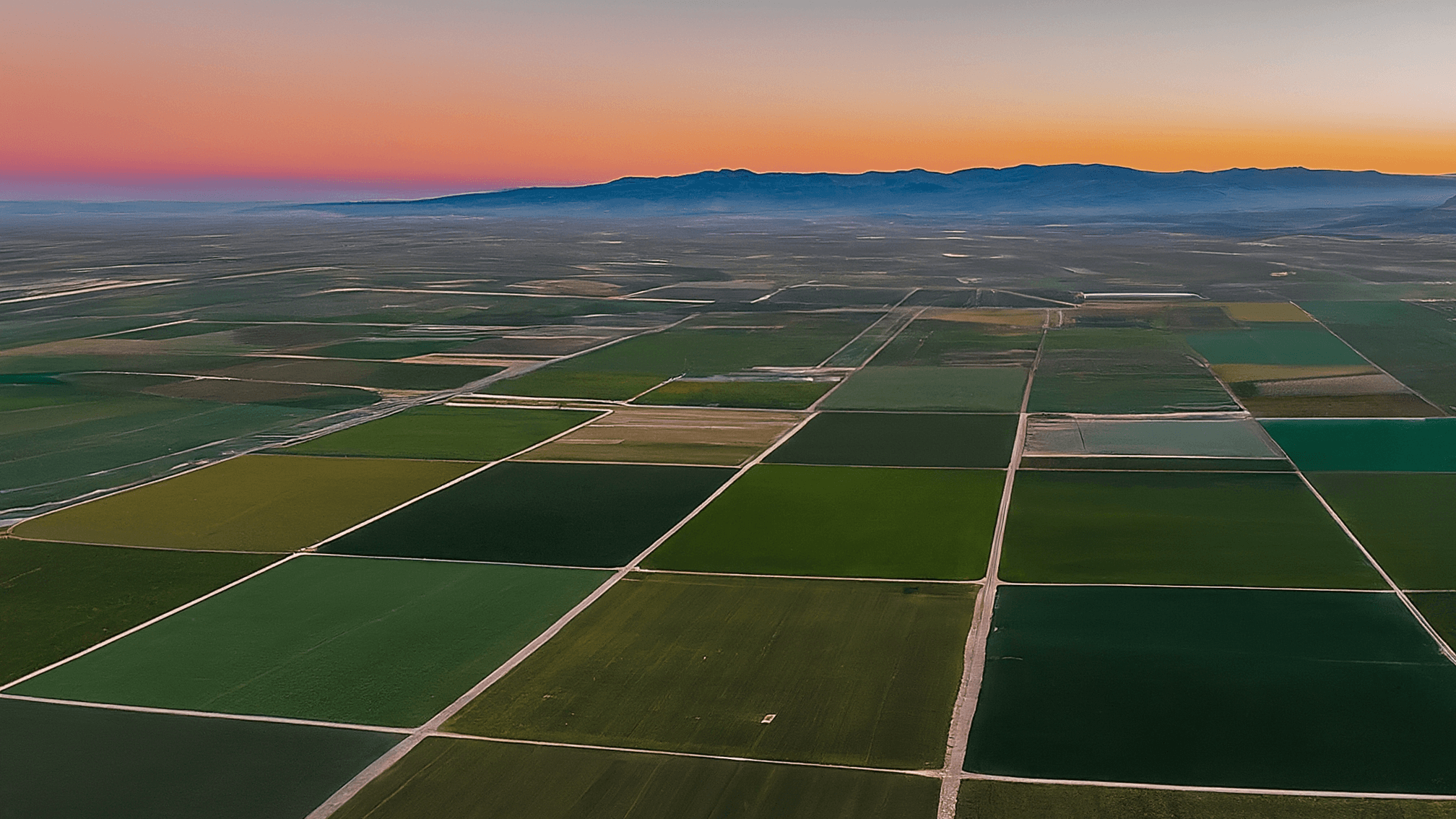 California Agricultural Fields at Sunset