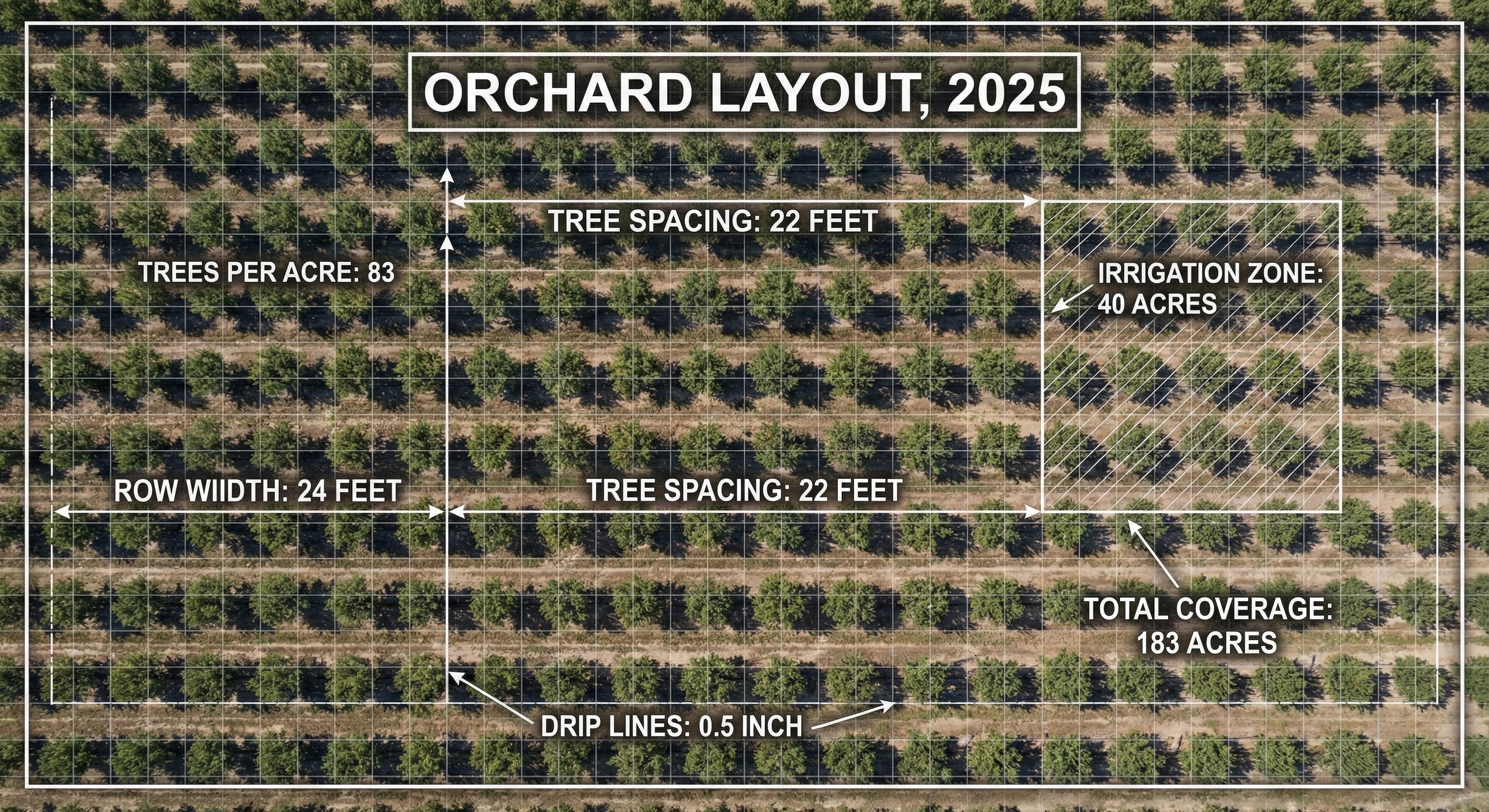 Orchard Layout Specifications - Tree spacing 22 feet, Row width 24 feet, Trees per acre 83, Irrigation zone 40 acres